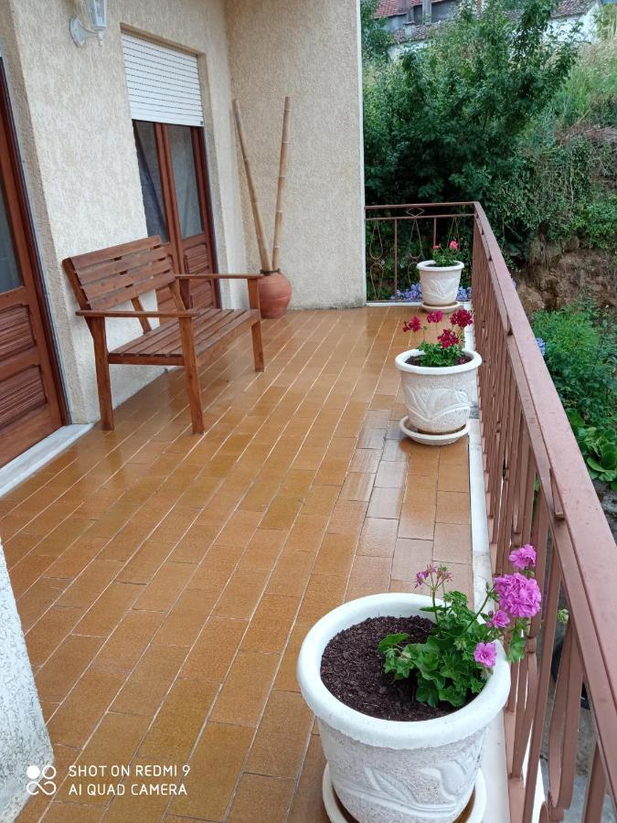 Casa Dos Grilos Penacova Esterno foto
