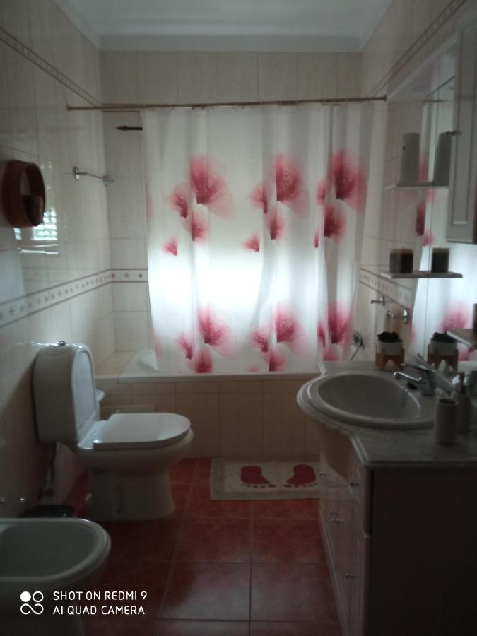 Casa Dos Grilos Penacova Esterno foto