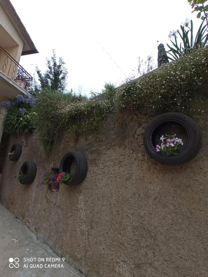 Casa Dos Grilos Penacova Esterno foto