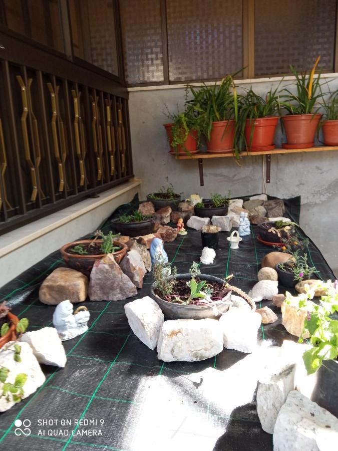 Casa Dos Grilos Penacova Esterno foto