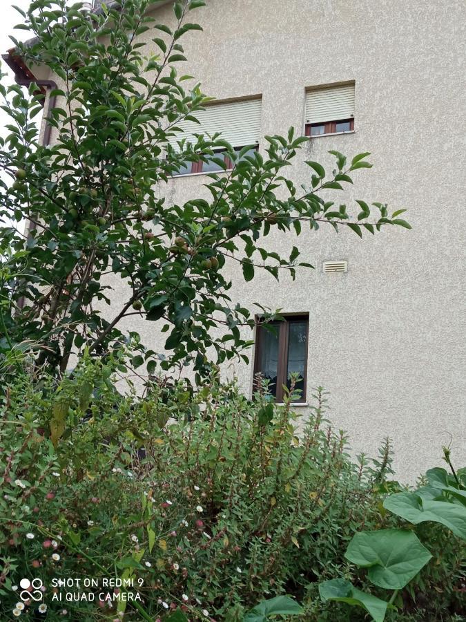 Casa Dos Grilos Penacova Esterno foto