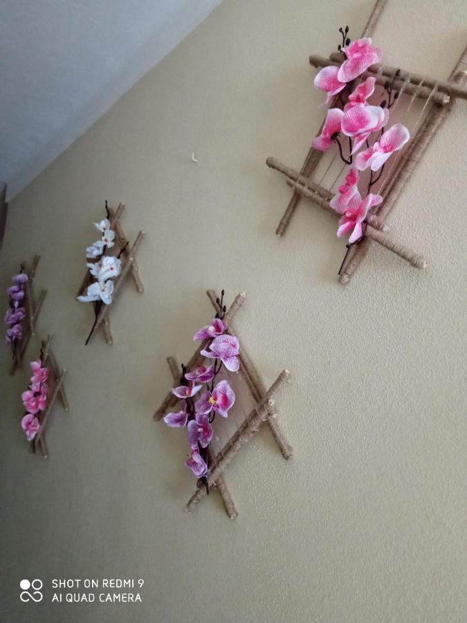 Casa Dos Grilos Penacova Esterno foto